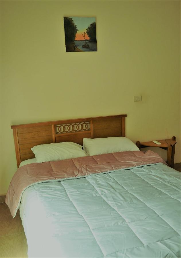 Rino Residential Apartment Kahire Dış mekan fotoğraf